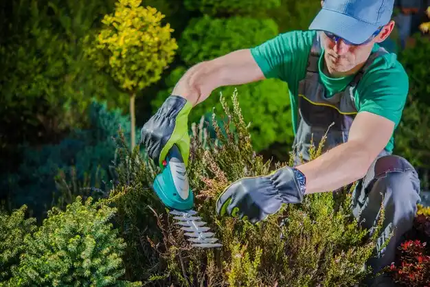 landscaping services Bay Village